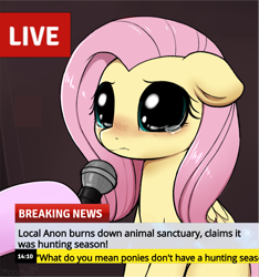 Size: 2655x2838 | Tagged: safe, artist:moozua, edit, character:fluttershy, species:pegasus, species:pony, abuse, big eyes, blushing, crying, crying cat, cute, dark comedy, dilated pupils, exploitable meme, female, floppy ears, flutterbuse, hoof hold, hooves, implied anon, looking at you, mare, meme, microphone, missing cutie mark, news meme, offscreen character, ponified meme, sad, sadorable, shyabetes, solo focus, teary eyes, text