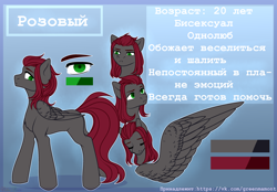 Size: 3600x2500 | Tagged: safe, artist:nika-rain, oc, species:pegasus, species:pony, commission, reference, reference sheet, simple background, solo