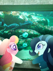 Size: 750x1000 | Tagged: safe, artist:carouselunique, oc, oc only, oc:dolly dusk, oc:honeycrisp blossom, parent:big macintosh, parent:chancellor neighsay, parent:princess cadance, parent:sonata dusk, parents:cadmac, parents:neighsaynota, my little pony:equestria girls, aquarium, clothing, colored pupils, duo, equestria girls in real life, fish, freckles, hat, offspring, starry eyes, suspenders, wingding eyes