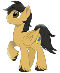 Size: 2296x2785 | Tagged: safe, artist:lostinthetrees, oc, oc only, oc:crisom chin, species:pegasus, species:pony, simple background, solo, transparent background, unshorn fetlocks, wings