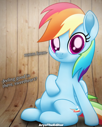 Size: 2000x2500 | Tagged: safe, artist:aryatheeditor, character:rainbow dash, species:pegasus, species:pony, my little pony: the movie (2017), dialogue, digital art, female, holding hooves, looking at you, photo, pony ears, preggo dash, pregnant, sitting, solo, text, wings, wood