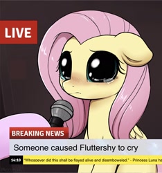 Size: 1757x1881 | Tagged: safe, artist:moozua, edit, editor:jacktheguy, character:fluttershy, species:pegasus, species:pony, big eyes, blushing, break your own news, breaking news, crying, crying cat, cute, dilated pupils, exploitable meme, female, floppy ears, hoof hold, hooves, implied princess luna, looking at you, mare, meme, microphone, missing cutie mark, news meme, offscreen character, ponified meme, sad, sadorable, shyabetes, solo, solo focus, teary eyes, text, this will end in pain and/or death