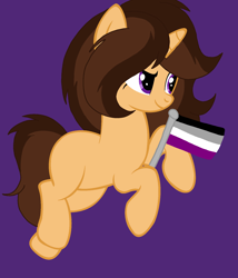 Size: 1460x1707 | Tagged: safe, artist:circuspaparazzi5678, base used, oc, oc:caramel delite, species:pony, species:unicorn, asexual, asexual pride flag, pride, pride flag, pride month, smiling, solo