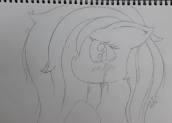 Size: 2048x1464 | Tagged: safe, artist:phenioxflame, character:fluttershy, species:pegasus, species:pony, crying, female, monochrome, pencil drawing, solo, traditional art
