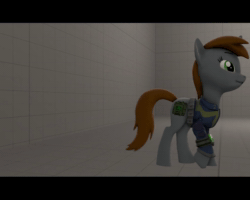 Size: 720x576 | Tagged: safe, artist:phenioxflame, oc, oc:littlepip, fallout equestria, 3d, animated, ear twitch, letterboxing, no sound, pipbuck, source filmmaker, walk cycle, walking, webm