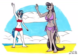 Size: 1920x1366 | Tagged: safe, artist:killerteddybear94, character:dj pon-3, character:octavia melody, character:vinyl scratch, species:anthro, species:plantigrade anthro, g4, beach, belly button, bikini, clothing, purple swimsuit, red swimsuit, sunglasses, swimsuit, traditional art, waving