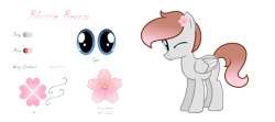 Size: 2000x885 | Tagged: safe, artist:darbypop1, oc, oc only, oc:blossom breeze, species:pegasus, species:pony, g4, male, one eye closed, reference sheet, simple background, solo, stallion, transparent background, wink