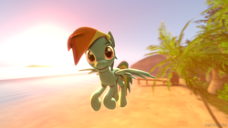 Size: 1280x720 | Tagged: safe, artist:batponyecho, character:rainbow dash, species:earth pony, species:pegasus, species:pony, g4, 3d, beach, cutie mark, flying, looking at you, source filmmaker, tail