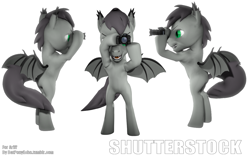 Size: 1280x800 | Tagged: safe, artist:batponyecho, oc, oc only, oc:shutterstock, species:bat pony, species:pony, g4, 3d, bat pony oc, bat wings, camera, looking at you, male, simple background, solo, source filmmaker, spread wings, stallion, tail, white background, wings