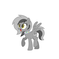 Size: 1800x1800 | Tagged: safe, artist:ponkus, oc, oc:greyscale, species:pegasus, species:pony, g4, female, mare, shock collar, simple background, smiling, solo, transparent background