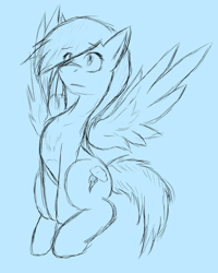Size: 1024x1278 | Tagged: safe, artist:tunderi, character:rainbow dash, female, sketch, solo