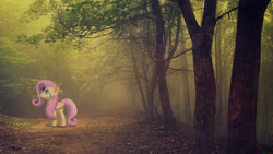Size: 1920x1080 | Tagged: safe, artist:colorfulbrony, artist:yanoda, character:fluttershy, curious, fog, irl, pathway, photo, ponies in real life, solo, tree, vector, wallpaper
