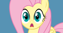 Size: 1016x534 | Tagged: safe, artist:misterdavey, character:fluttershy, cute, d:, faec, female, looking at you, open mouth, reaction image, shyabetes, smile hd, solo, surprised, wide eyes