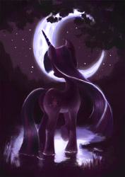 Size: 1240x1754 | Tagged: safe, artist:plainoasis, character:twilight sparkle, species:pony, species:unicorn, crescent moon, female, mare, moon, night, raised hoof, solo, stars, transparent moon, water