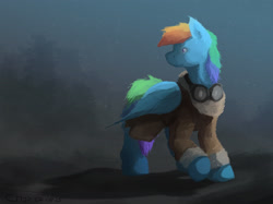 Size: 3000x2238 | Tagged: safe, artist:fuzzyfox11, character:rainbow dash, clothing, coat, female, goggles, solo, winter