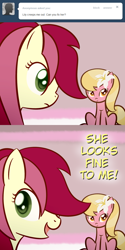 Size: 650x1300 | Tagged: safe, artist:why485, character:lily, character:lily valley, character:roseluck, ask, ask the flower trio, comic, tumblr