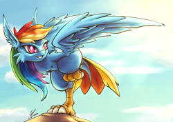 Size: 2046x1447 | Tagged: safe, artist:lovelyneckbeard, part of a set, character:rainbow dash, female, harpy, harpydash, monster girl, monster pony, solo, species swap, tail feathers