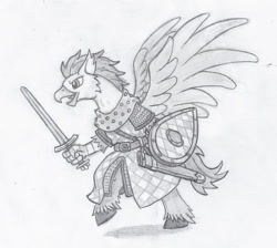 Size: 945x845 | Tagged: safe, artist:sensko, oc, oc only, species:classical hippogriff, species:hippogriff, armor, bipedal, black and white, chainmail, equestrian valour, fantasy class, grayscale, kite shield, knight, monochrome, normandy, pencil drawing, prance, scabbard, shield, solo, traditional art, warrior, weapon