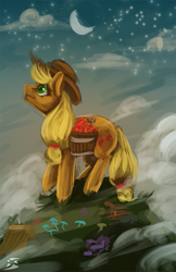 Size: 647x1000 | Tagged: safe, artist:blindcoyote, character:applejack, female, solo