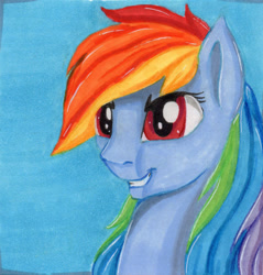 Size: 1024x1073 | Tagged: safe, artist:sparklyon3, rcf community, character:rainbow dash, female, portrait, solo, traditional art