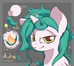 Size: 1613x1438 | Tagged: safe, artist:ruby, oc, oc only, oc:asha, reference sheet, solo