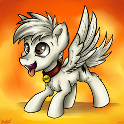 Size: 3024x3024 | Tagged: safe, artist:gaelledragons, oc, oc only, oc:bolt the super pony, species:pegasus, species:pony, behaving like a dog, bolt, collar, cute, diabetes, dog collar, pet tag, ponified, solo, spread wings, tongue out, wings