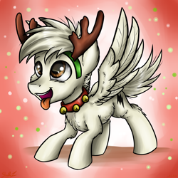 Size: 3024x3024 | Tagged: safe, artist:gaelledragons, oc, oc only, oc:bolt the super pony, species:pegasus, species:pony, behaving like a dog, bell, bell collar, bolt, collar, jingle bells, ponified, reindeer antlers, solo, spread wings, tongue out, wings