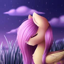 Size: 2000x2000 | Tagged: safe, artist:spirit-dude, character:fluttershy, species:pegasus, species:pony, bust, eyes closed, female, folded wings, grass, grass field, hair over one eye, mare, night, portrait, profile, scenery, solo, stars, twilight (astronomy)