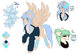 Size: 4360x3080 | Tagged: safe, artist:minelvi, oc, oc only, oc:v, oc:yoonji, species:pegasus, species:pony, absurd resolution, clothing, female, high res, jacket, mare, reference sheet, shirt, spread wings, wings