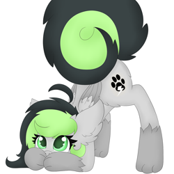 Size: 1280x1280 | Tagged: safe, artist:miss-jessiie, oc, oc only, oc:bree jetpaw, species:pony, bending, covering mouth, cute, dog pony, face down ass up, fluffy, paws, simple background, white background