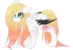 Size: 3000x2048 | Tagged: safe, artist:cinnamontee, oc, oc only, oc:ember (cinnamontee), species:pegasus, species:pony, colored pupils, colored wings, female, high res, mare, multicolored wings, simple background, solo, transparent background