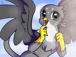 Size: 1400x1050 | Tagged: safe, artist:haden-2375, character:gabby, species:griffon, blushing, cloud, cute, female, gabbybetes, looking at you, solo, weapons-grade cute