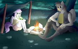 Size: 3000x1900 | Tagged: safe, artist:huckser, oc, oc only, oc:lightning flash, oc:nightly skies, species:anthro, campfire, clothing, fallout, night, outdoors