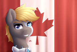 Size: 2800x1884 | Tagged: safe, artist:spirit-dude, oc, oc only, species:pony, canada, canadian flag, eh, flag, looking at you, male, robot, robot pony, smiling, solo, stallion