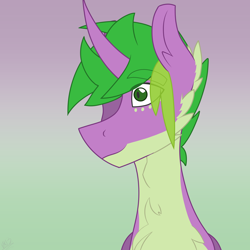 Size: 1688x1688 | Tagged: safe, artist:moonakart13, artist:moonaknight13, character:spike, species:pony, species:unicorn, fluffy, freckles, male, markings, ponified, ponified spike, smiling, solo