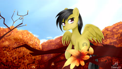 Size: 3840x2160 | Tagged: safe, artist:dashy21, character:daring do, species:pegasus, species:pony, autumn, female, mare, scenery, solo, tree, tree branch