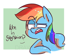Size: 1058x809 | Tagged: safe, artist:drawbauchery, character:rainbow dash, species:pegasus, species:pony, female, lidded eyes, mare, raised eyebrow, solo, text, watermark, what in tarnation