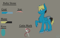 Size: 1900x1200 | Tagged: safe, artist:moonakart13, artist:moonaknight13, oc, oc:ruby stone, parent:oc:taylor queen, parent:princess cadance, species:pegasus, species:pony, cutie mark, male, next generation, raised hoof, reference sheet, scar, sewing needle, solo, stallion, text, unshorn fetlocks