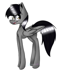 Size: 422x482 | Tagged: safe, artist:chazmazda, oc, oc only, species:pegasus, species:pony, commission, fullbody, highlight, shade, shading, simple background, smiling, solo, white background, wings