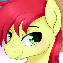 Size: 1000x1000 | Tagged: safe, artist:dashy21, character:bright mac, species:pony, icon, male, smiling, solo, stallion