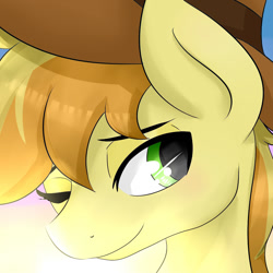 Size: 1000x1000 | Tagged: safe, artist:dashy21, character:braeburn, species:earth pony, species:pony, blushing, close-up, clothing, hat, male, one eye closed, stallion, stupid sexy braeburn, wink