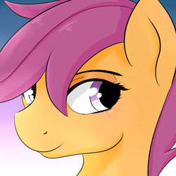 Size: 1000x1000 | Tagged: safe, artist:dashy21, character:scootaloo, species:pegasus, species:pony, bust, looking away, male, rule 63, smiling, solo