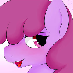 Size: 3000x3000 | Tagged: safe, artist:dashy21, character:berry punch, character:berryshine, species:earth pony, species:pony, blushing, bust, drunk, female, gradient background, looking at you, mare, open mouth, portrait, solo