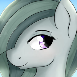 Size: 1000x1000 | Tagged: safe, artist:dashy21, character:marble pie, species:earth pony, species:pony, cute, female, mare, smiling, solo