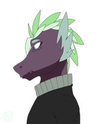Size: 1768x2196 | Tagged: safe, artist:moonaknight13, character:spike, clothing, markings, original species, redesign