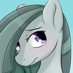 Size: 3000x3000 | Tagged: safe, artist:dashy21, character:marble pie, species:earth pony, species:pony, female, mare, smiling, solo