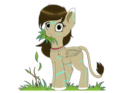 Size: 2100x1575 | Tagged: safe, artist:zobaloba, oc, oc:rune, species:pegasus, species:pony, brown mane, female, filly, grass, green eyes, herbivore, horses doing horse things, looking at you, nom, simple background, solo, standing, tooth necklace, transparent background, wat