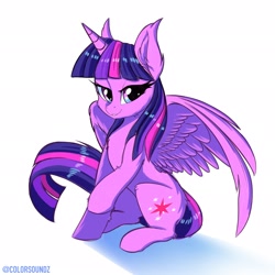 Size: 2048x2048 | Tagged: safe, artist:ask-colorsound, character:twilight sparkle, character:twilight sparkle (alicorn), species:alicorn, species:pony, big ears, ear fluff, female, looking at you, mare, raised leg, solo