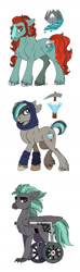 Size: 648x2188 | Tagged: safe, artist:celestial-rainstorm, oc, oc only, oc:diamond, oc:river rock, oc:seasmoke, parent:meadowbrook, parent:rockhoof, parent:scorpan, parent:tempest shadow, parents:rockbrook, parents:yonabar, species:classical hippogriff, species:earth pony, species:hippogriff, species:pony, adopted offspring, male, offspring, simple background, stallion, wheelchair, white background