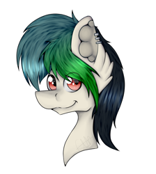 Size: 958x1070 | Tagged: safe, artist:chazmazda, oc, species:pony, art, bust, cartoon, commission, commissions open, digital art, ear fluff, ear piercing, eye reflection, looking at you, piercing, portrait, reflection, shade, solo